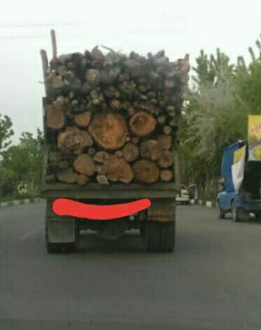 ‍ اطلاعیه مهم برخورد جدی با قاچاقچیان چوب