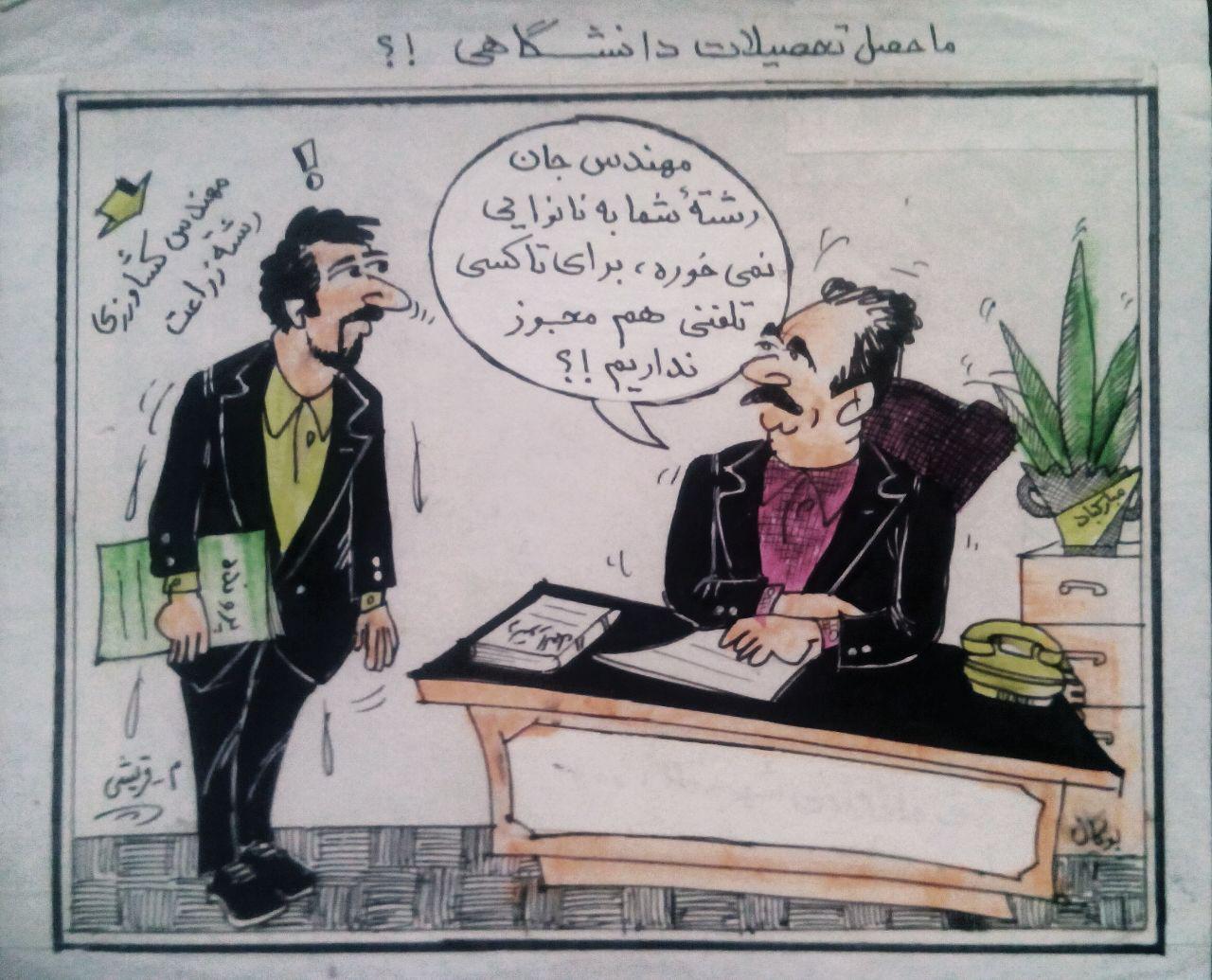 تحصیلات دانشگاهی