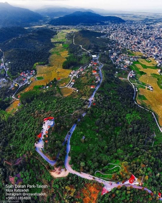 پارک جنگلی سیاه داران سوئیس ایران